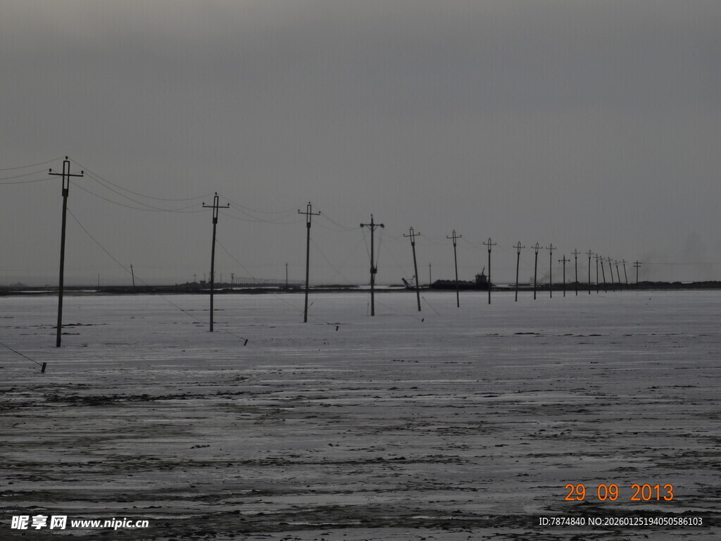 水中林立的电线杆景观