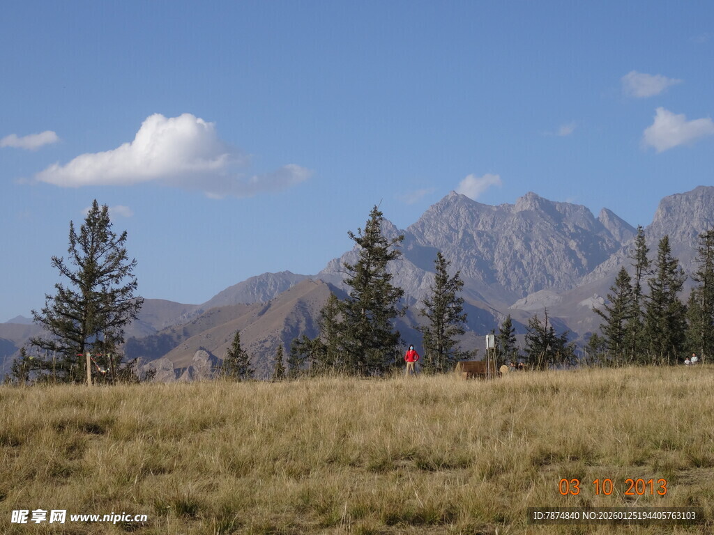 草原上的远山与树木