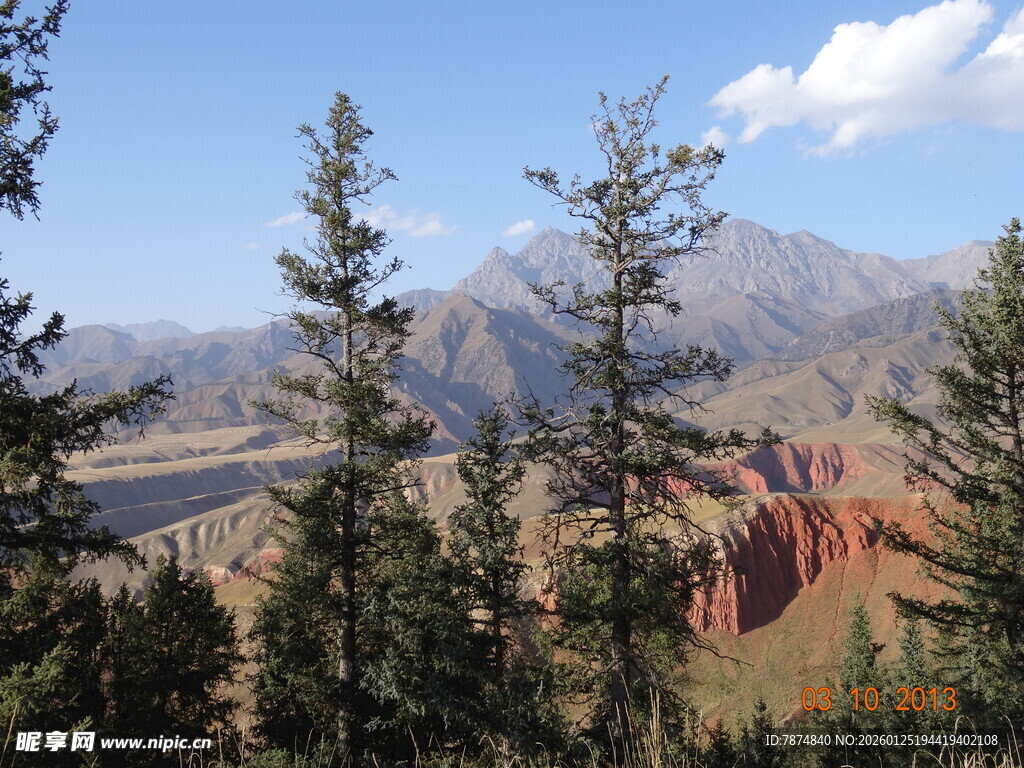山间松林与远方壮丽景色