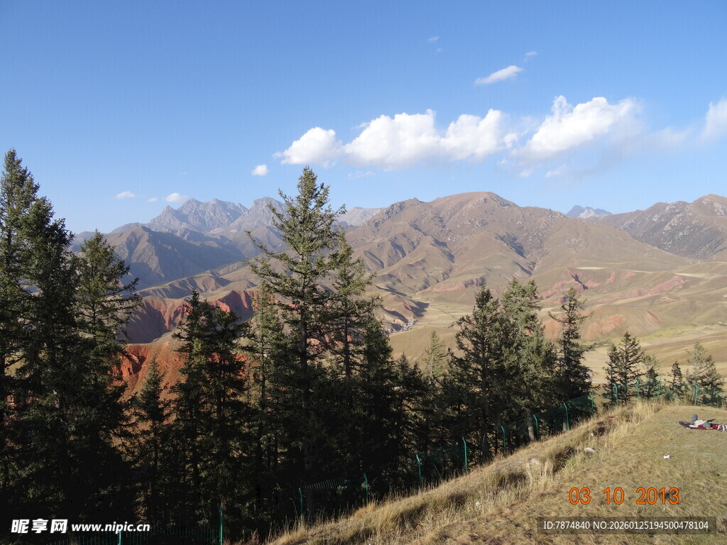 山间松林与远处山脉风景