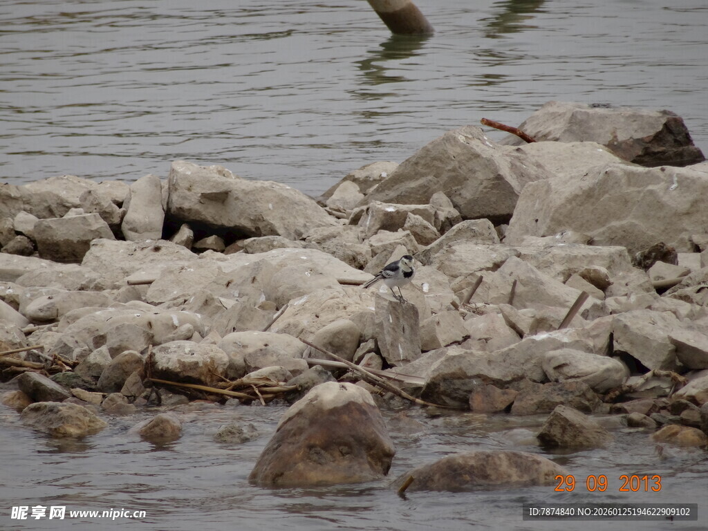 河边的石块与水中景象