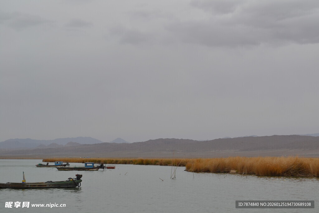 湖畔小船与芦苇的静谧景致