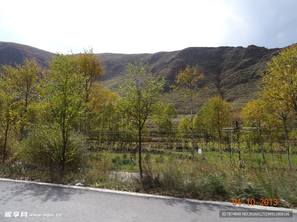 山间路旁绿意盎然的景致