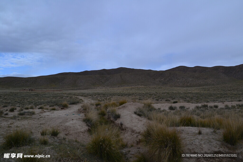 荒凉旷野的自然景观