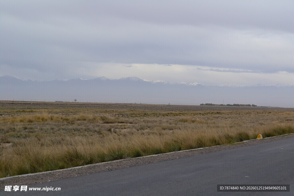 空旷公路旁的荒野景观
