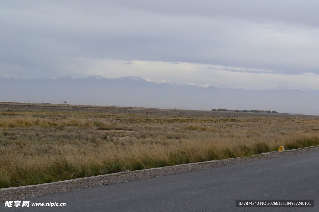 公路旁的广袤原野