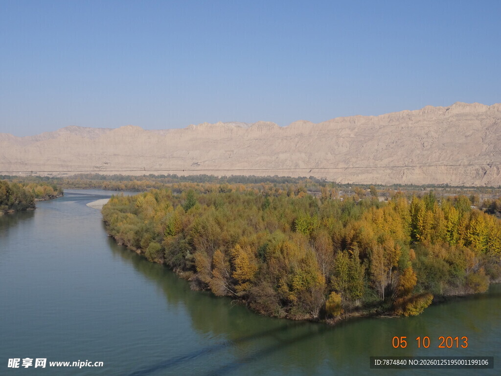 河畔秋色 金黄树林映碧水