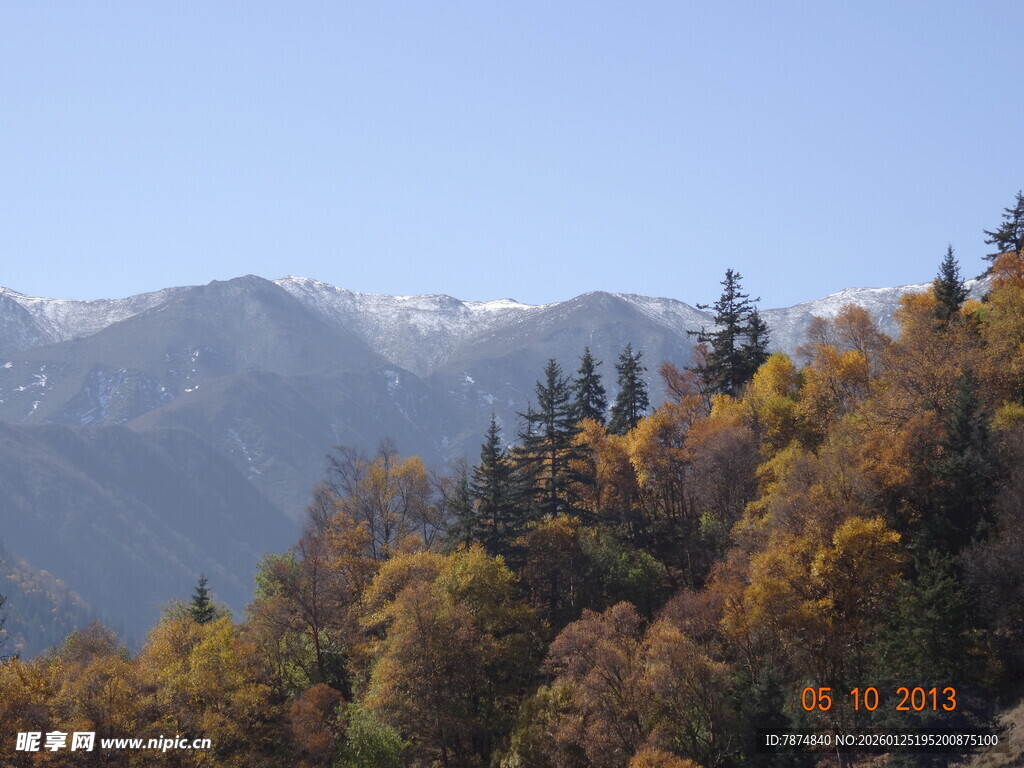 秋日山林与远处雪山美景