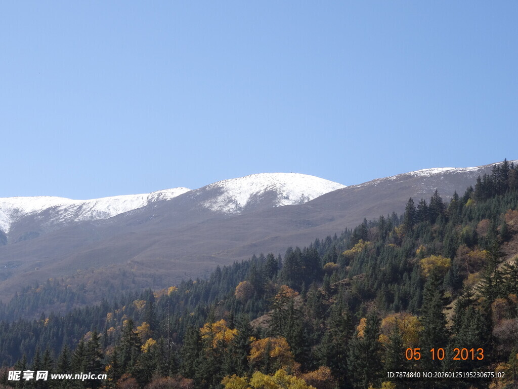 雪山下的多彩山林景观
