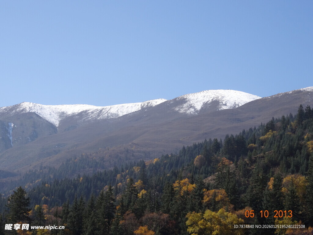 秋日山林与远处雪山美景