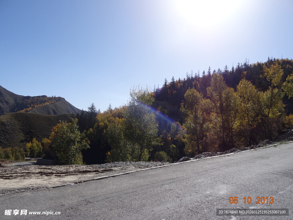 秋日公路旁的多彩山林