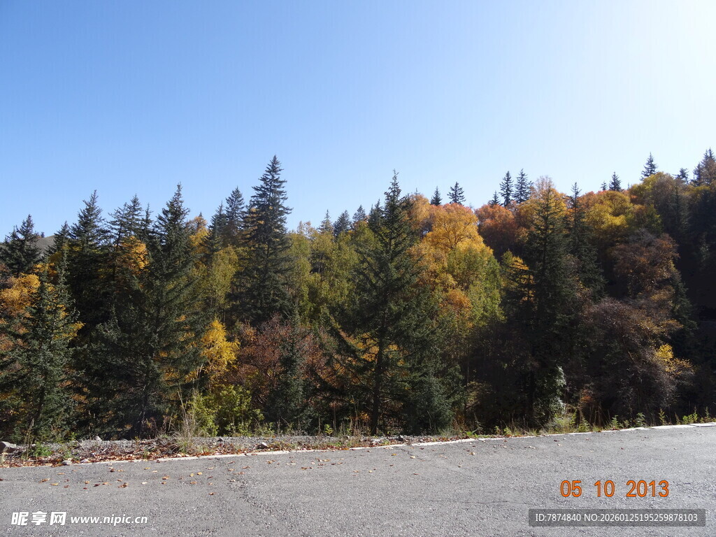 秋日山林边的开阔空地