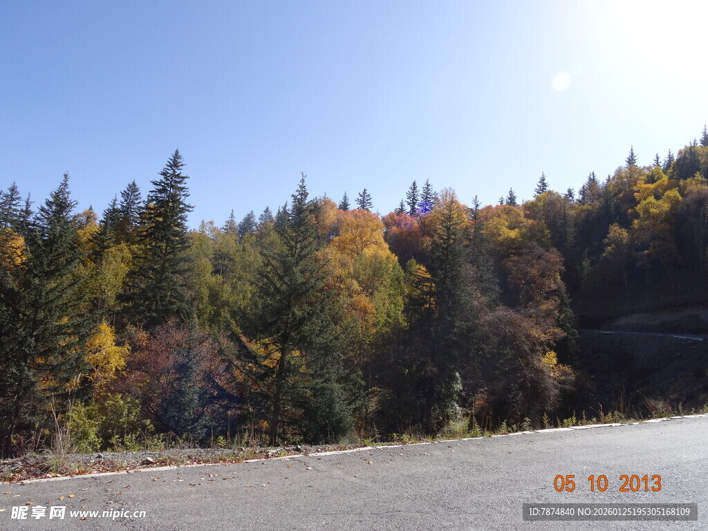 秋日湖畔多彩树林美景