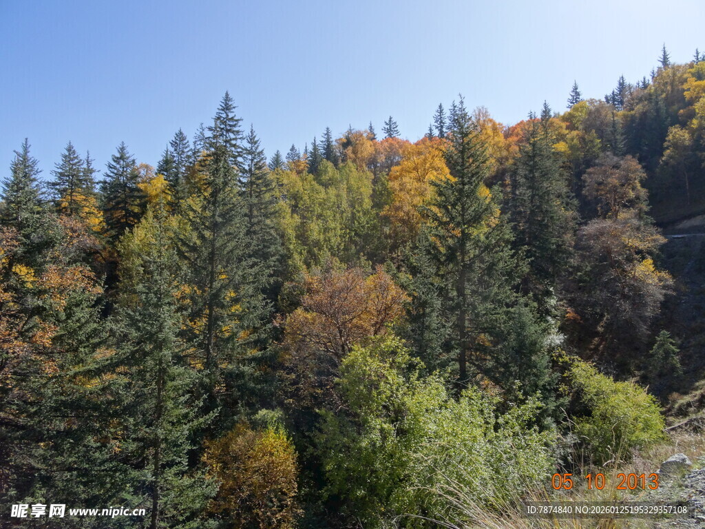秋日山林斑斓美景