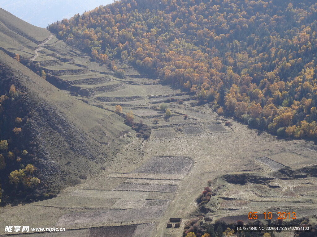秋日山间梯田壮丽景致