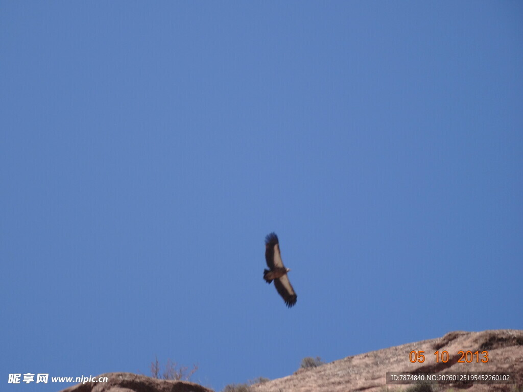 蓝天峭壁间展翅的飞鸟