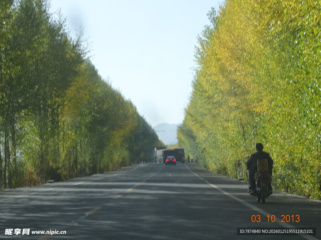 公路骑行者 秋日林荫道