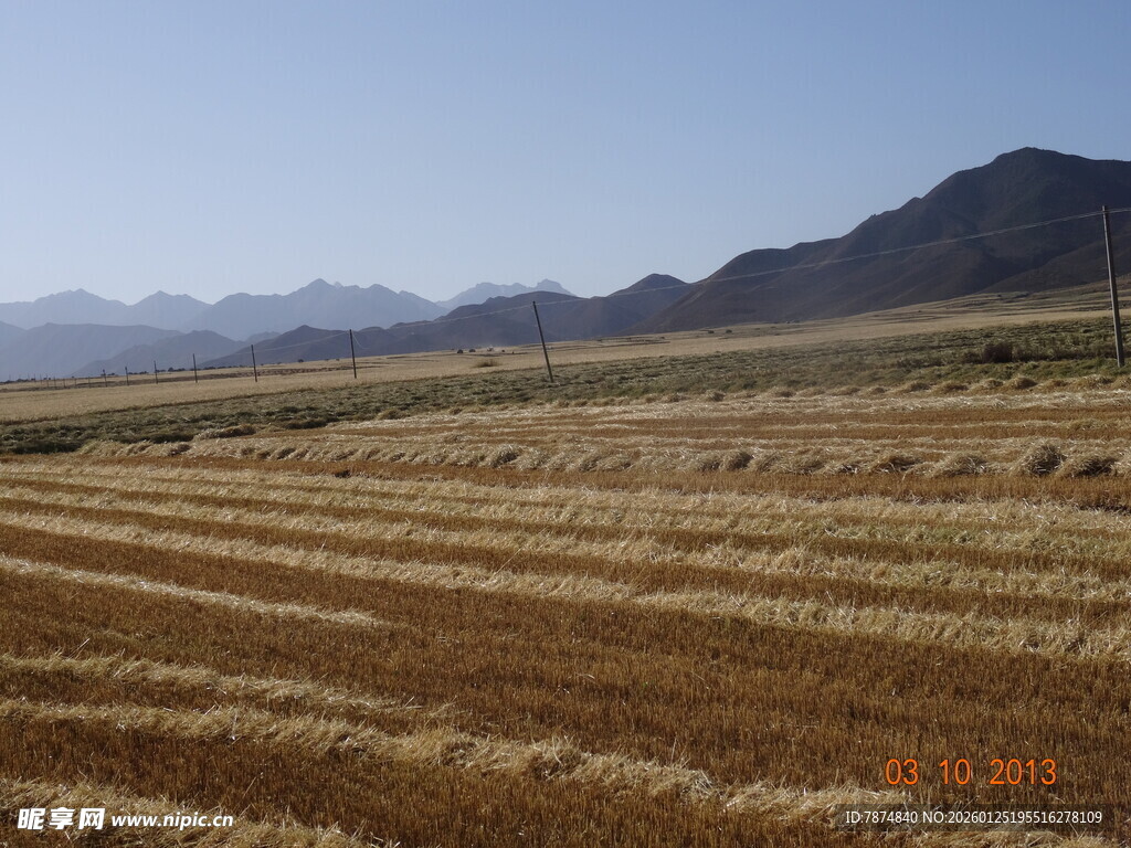 广袤田野与远山风景