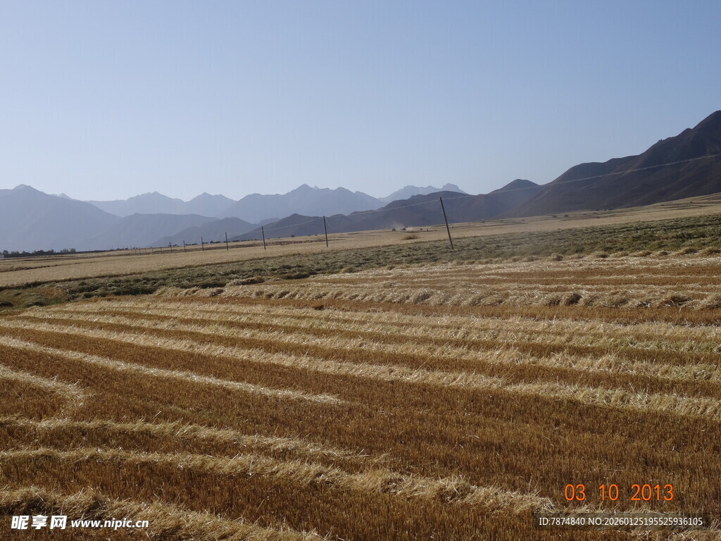 广袤田野与远处山峦景观