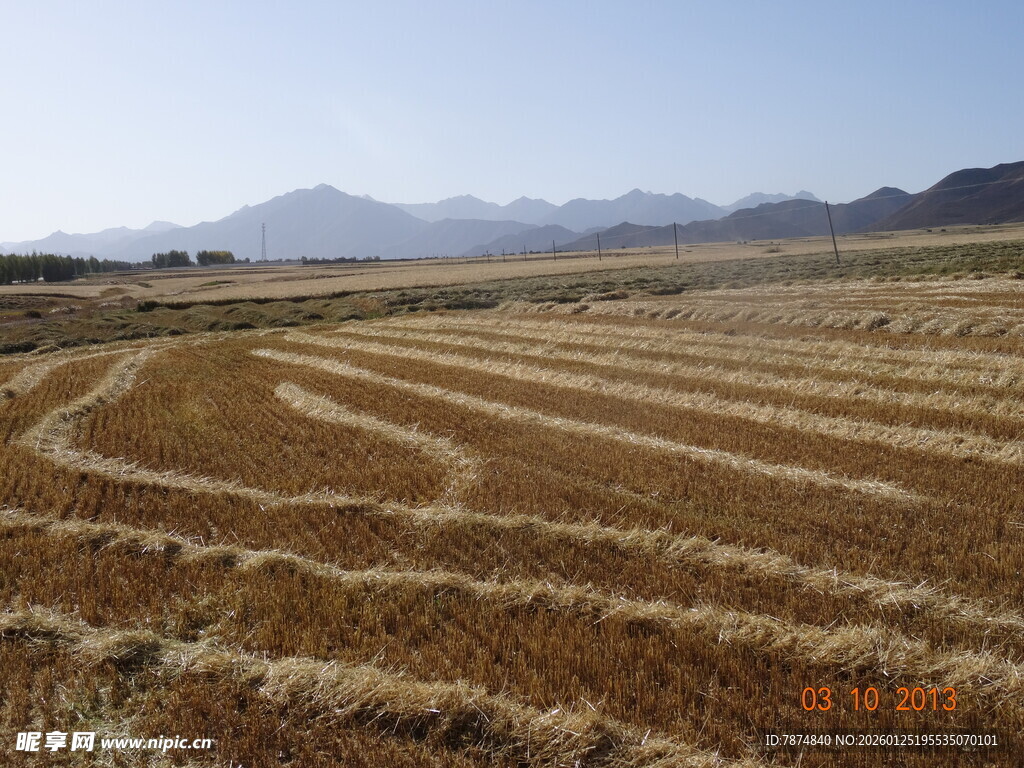 秋日田野的美丽曲线