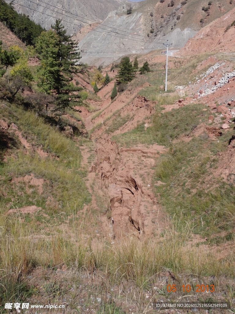 山坡上的植被与裸露土地