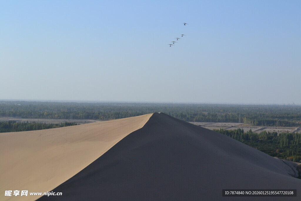 沙漠风光 广袤无垠的沙丘