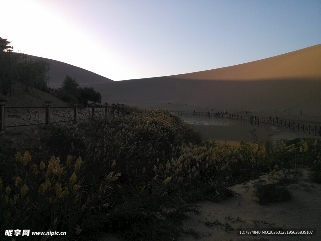 黄昏下的沙漠植被景观