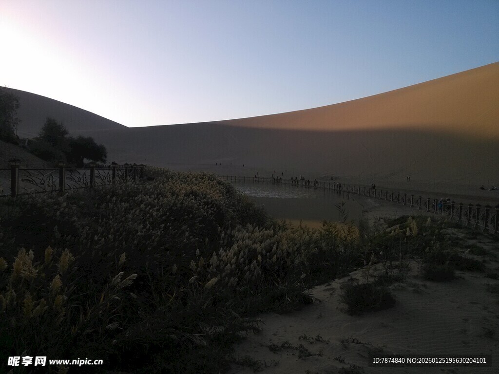 黄昏下的沙漠与植被景观