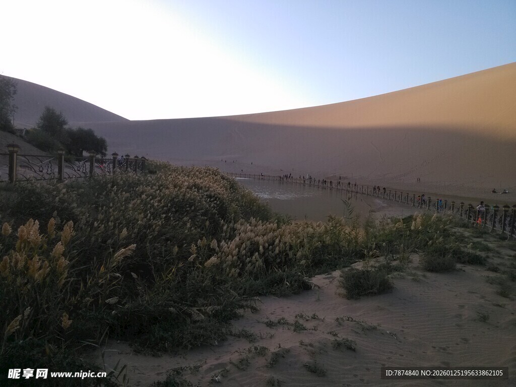 沙漠边缘的植被景观