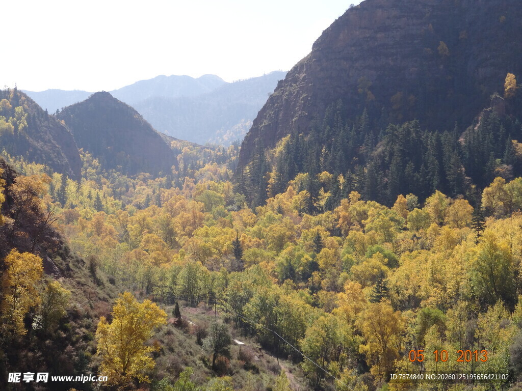 秋日山谷斑斓树林美景