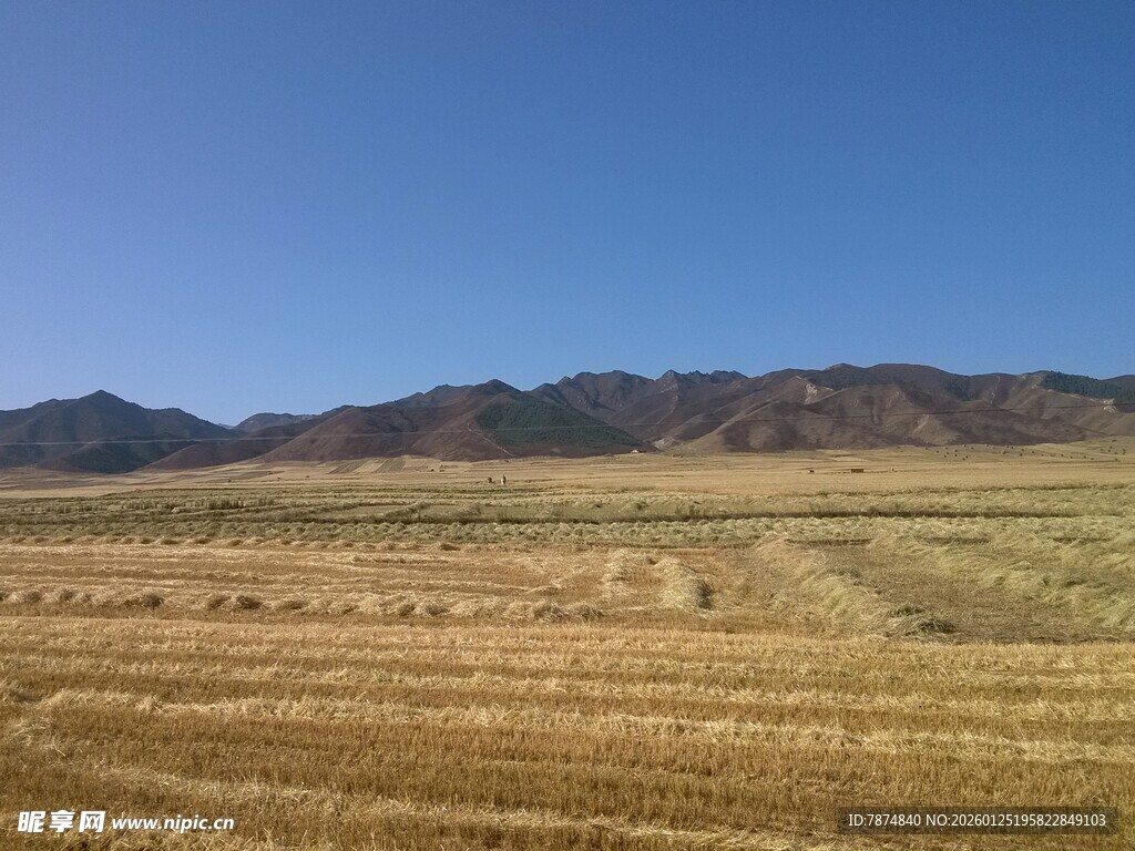 广袤田野与远处山峦景色