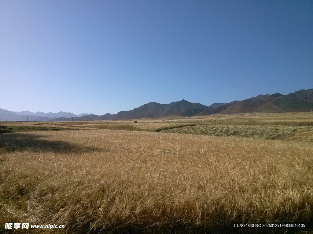 广袤田野与远处山峦