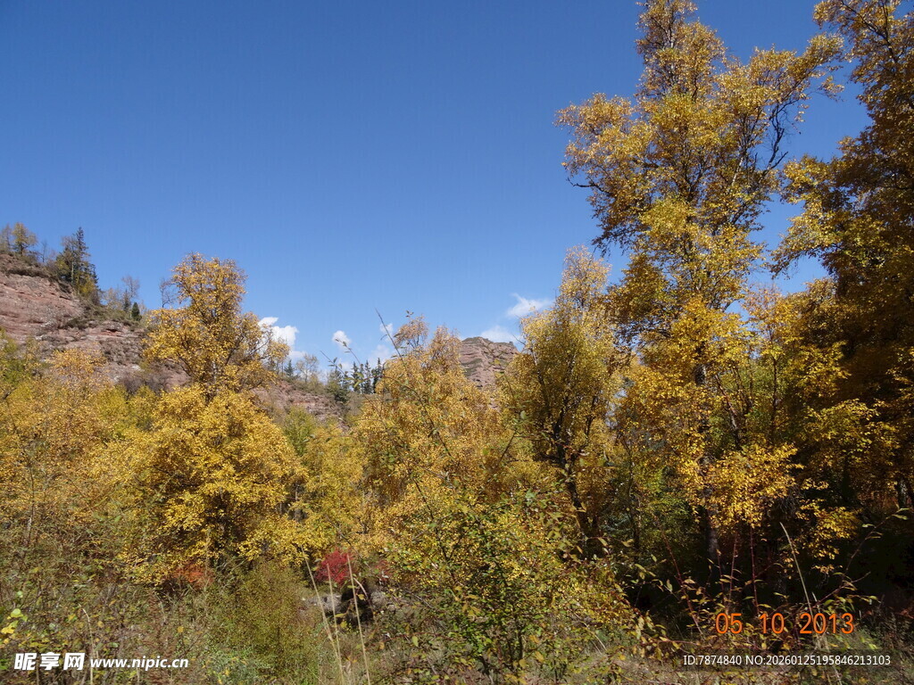 秋日山林中的斑斓景致