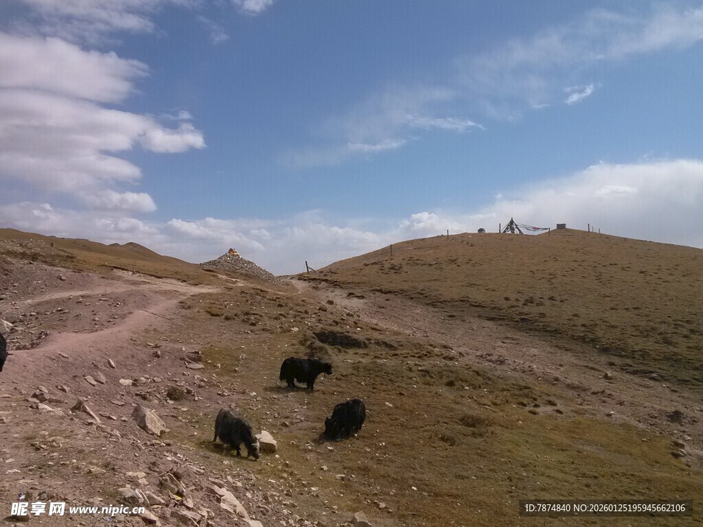 山间土路与放牧场景