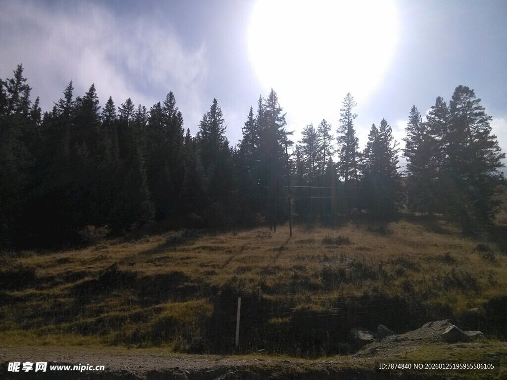 阳光照耀下的山林美景