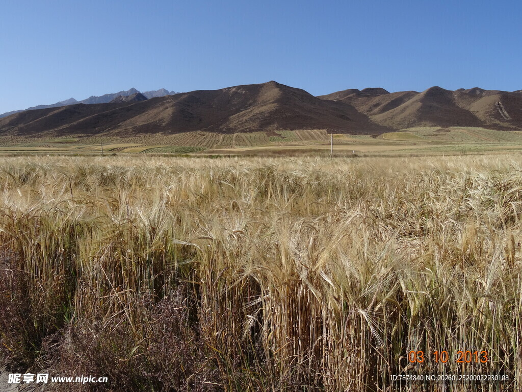 广袤原野的壮丽风光