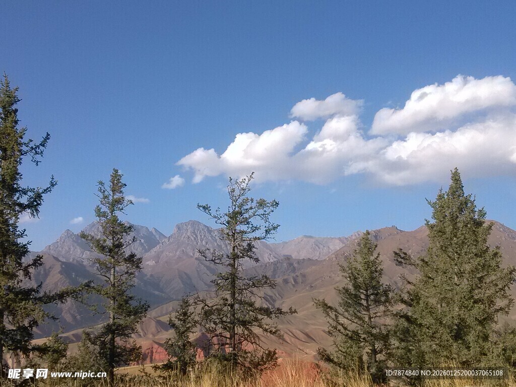 山间蓝天绿树美景