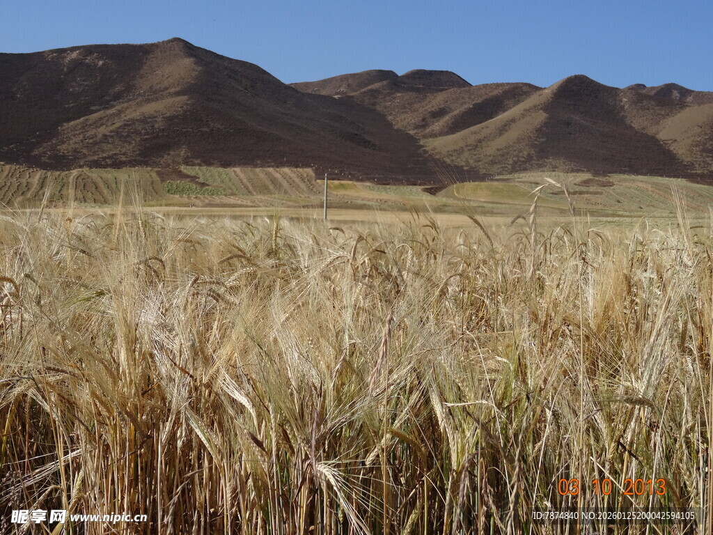 广袤原野与远山风景