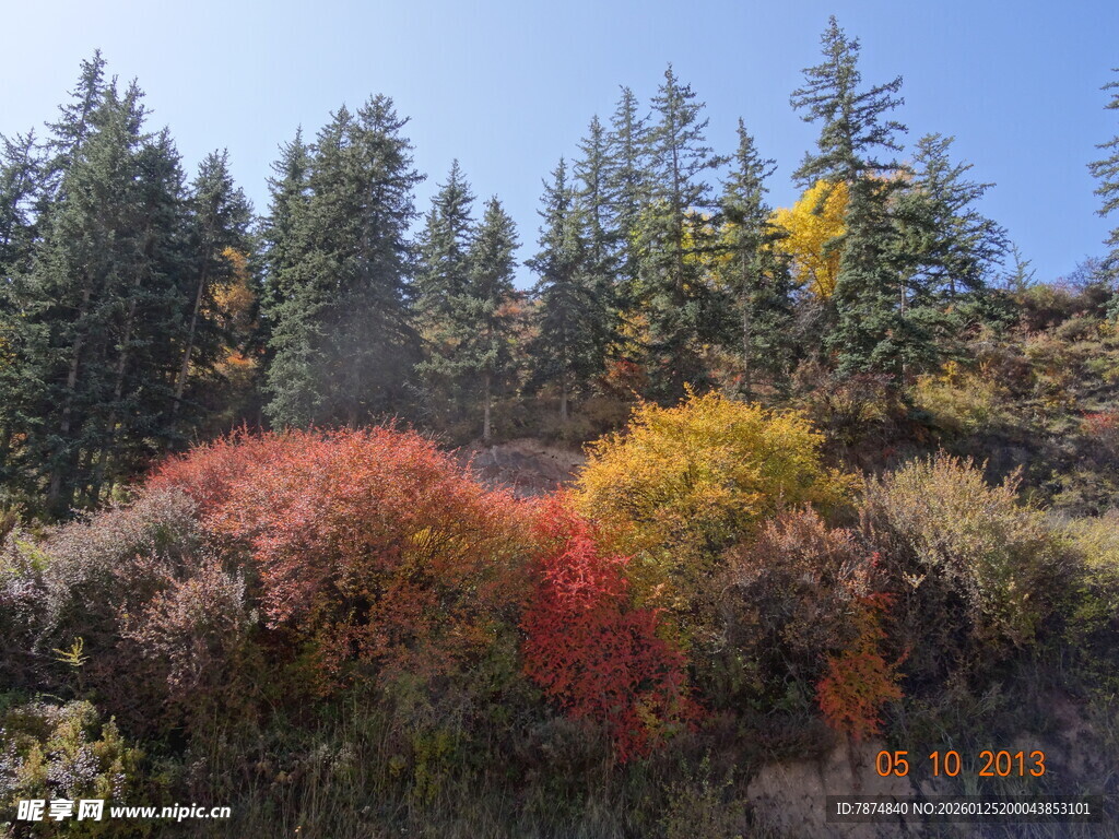 秋日山林斑斓美景