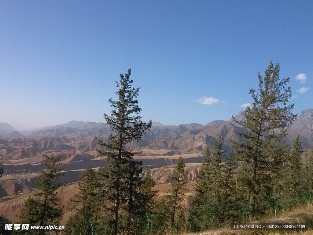 山间松林 壮阔自然景致