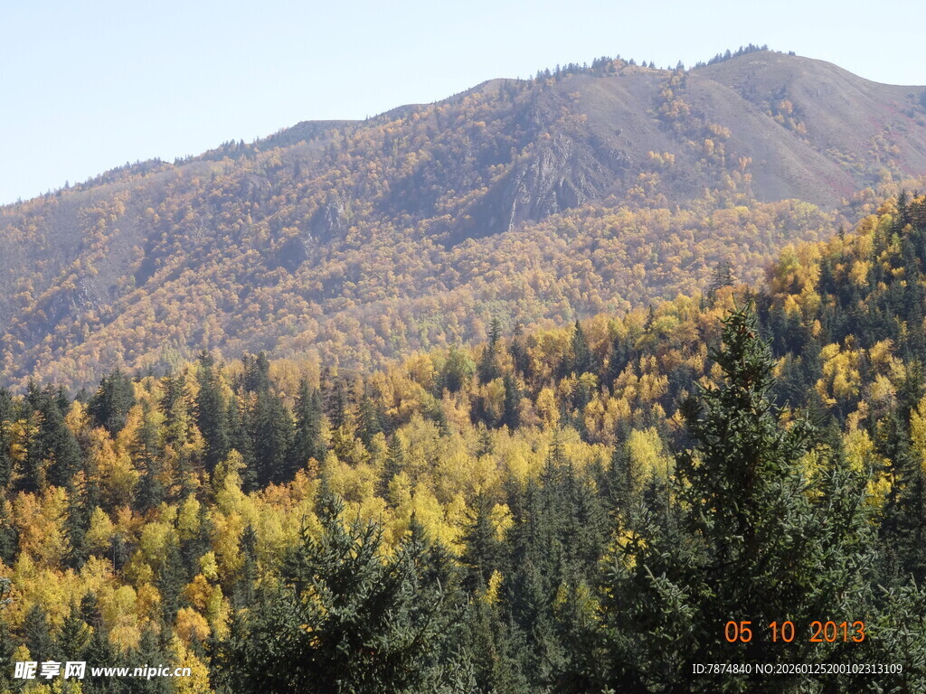 秋日山林美景图