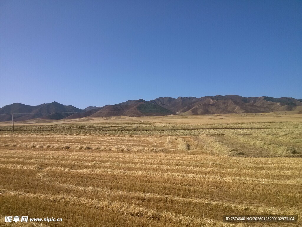 广袤田野与远山蓝天