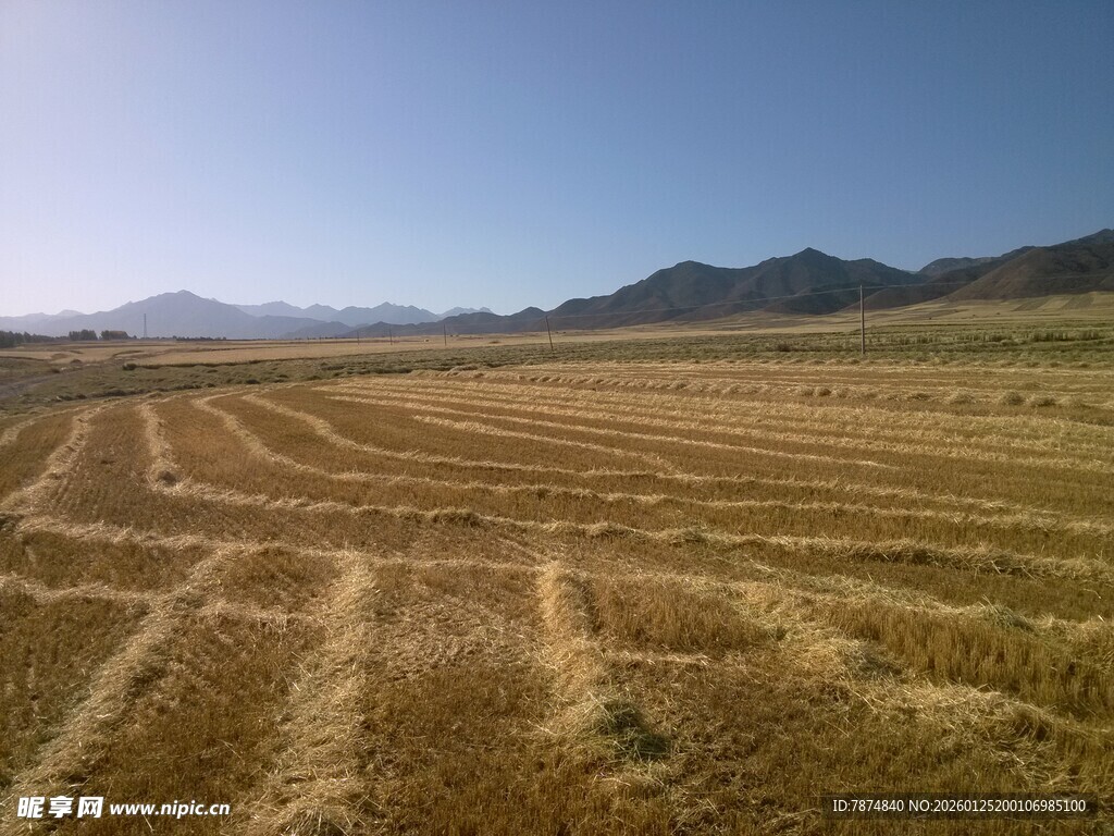 广袤田野 尽显大地之美