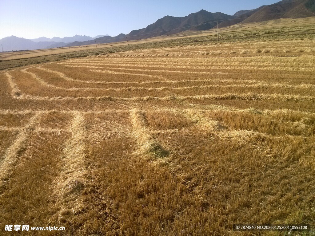 广袤田野与远山风景