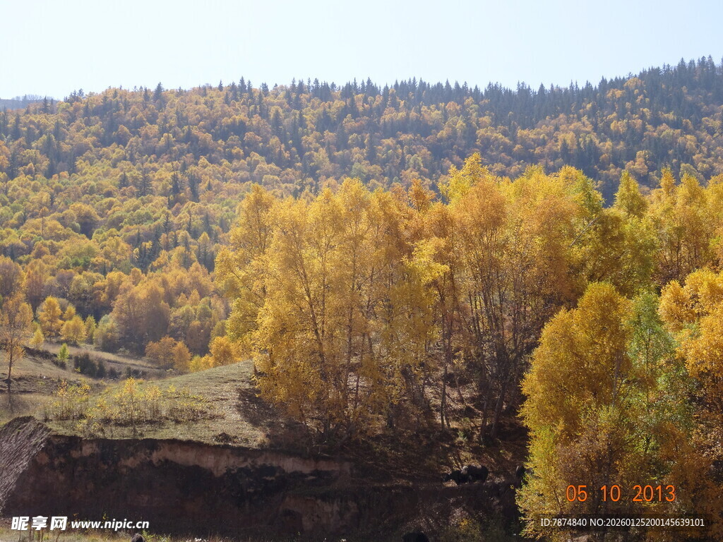 秋日山林绚丽风光