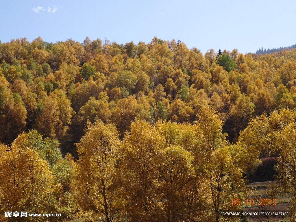秋日山林斑斓美景