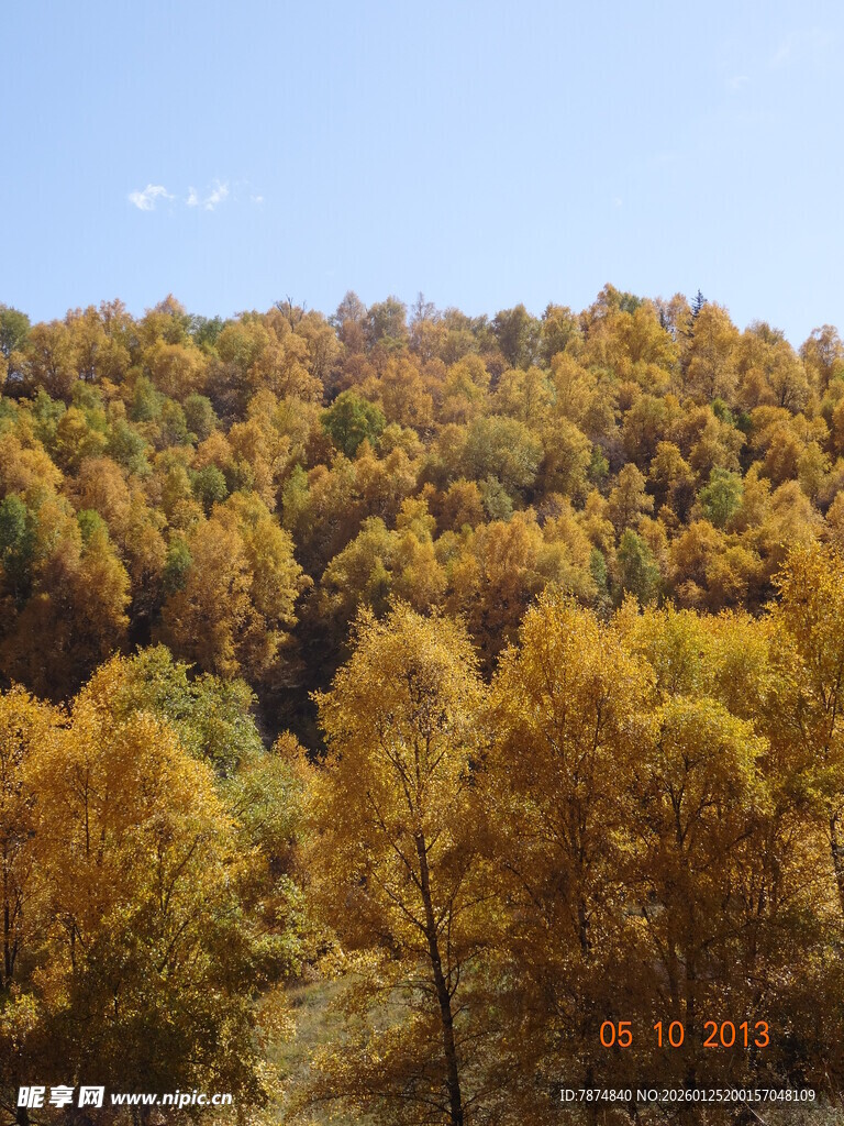 秋日山林斑斓美景