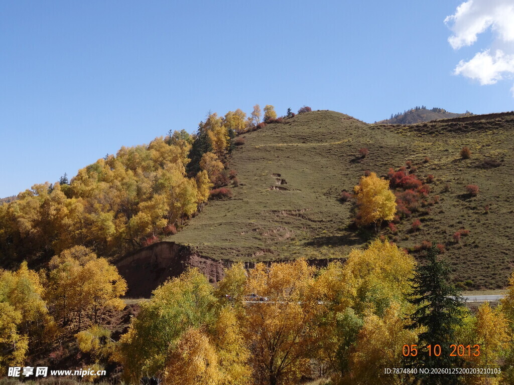 秋日山坡斑斓树林美景