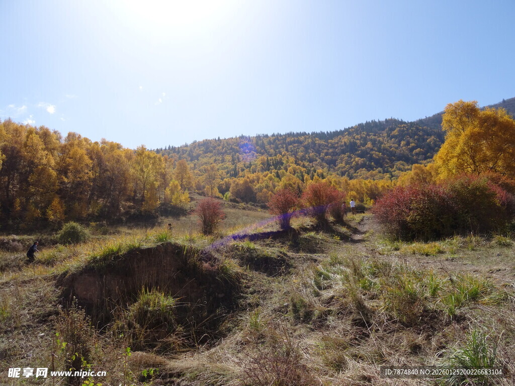 秋日山野多彩风光