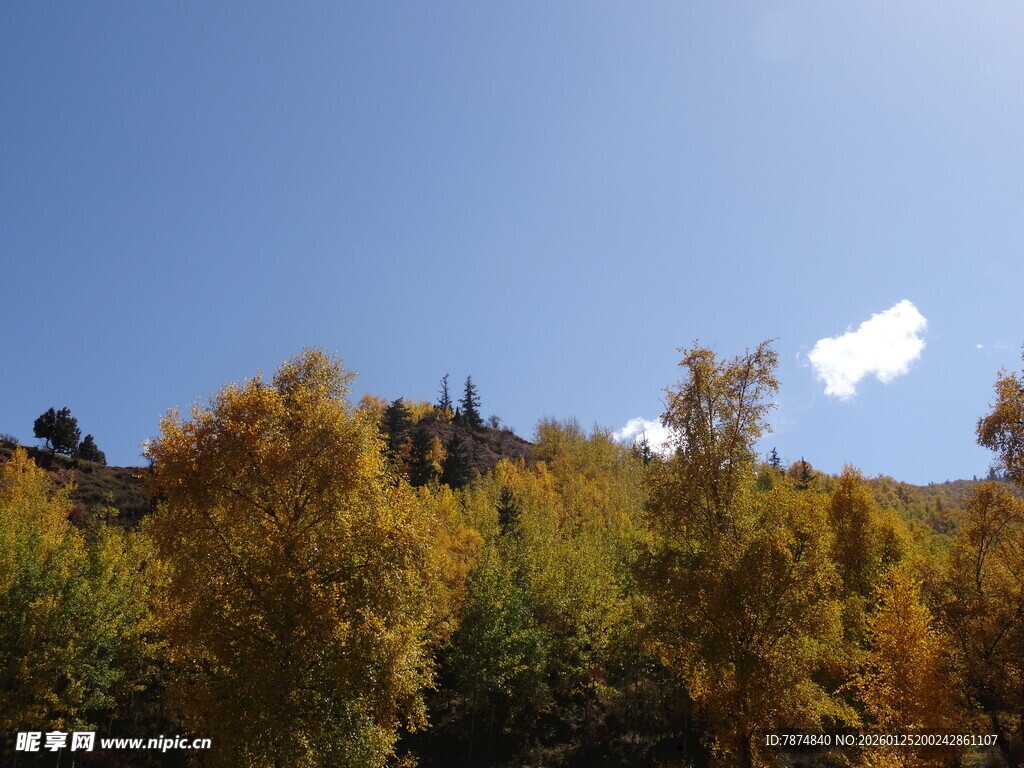 秋日山林蓝天美景